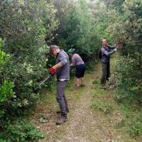 C'est parti pour la coupe de fin de printemps