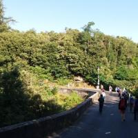 Le pont de Brousses