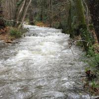 Crue de décembre