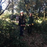 Portage des poutres et bastaings
