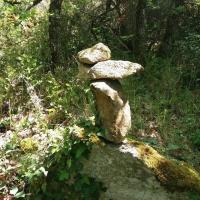 La force du lierre est avec nous