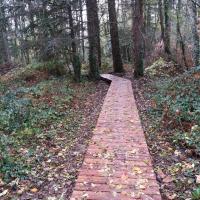 Platelage terminé dans le bois de Le Breil