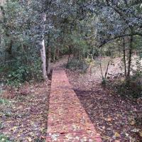Déjà recouvert de feuilles