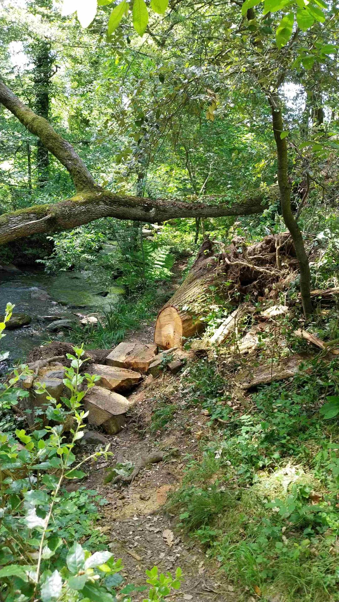 Chantier terminé, sentier ouvert.