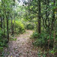 Sentier prêt pour les randonneurs